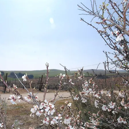 Teso De La Encina Hotel