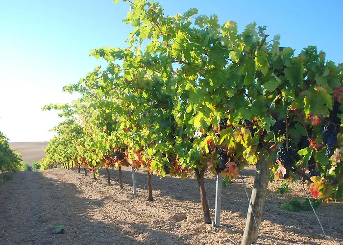 Отель Teso De La Encina Villamor de los Escuderos