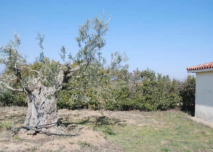 Отель Teso De La Encina Villamor de los Escuderos