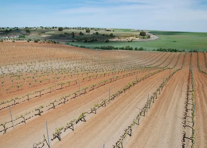 Отель Teso De La Encina Villamor de los Escuderos