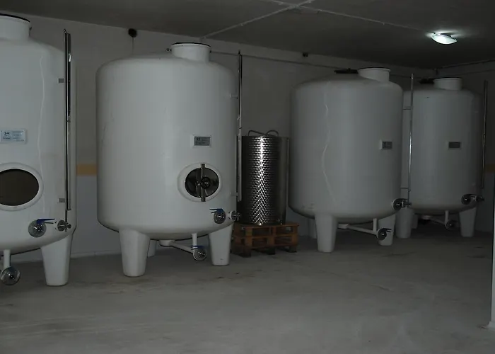 Отель Teso De La Encina Villamor de los Escuderos