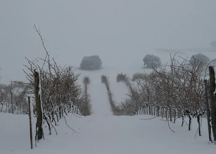 Teso De La Encina 3*