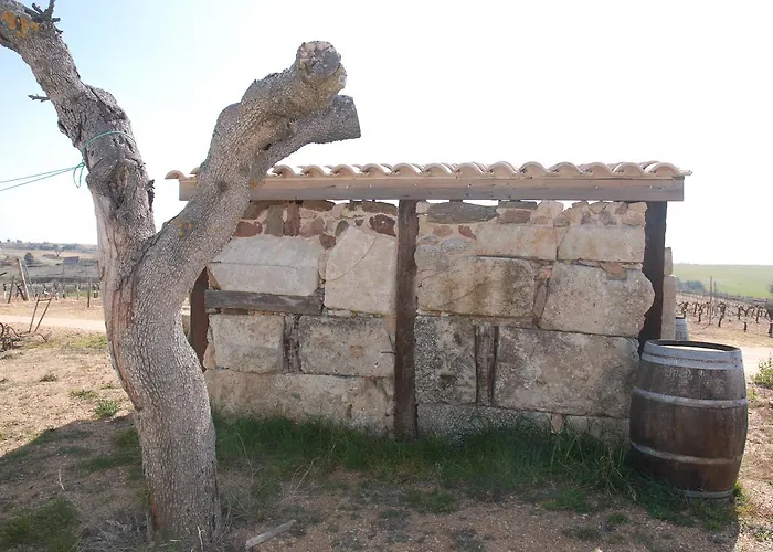 Teso De La Encina Villamor de los Escuderos