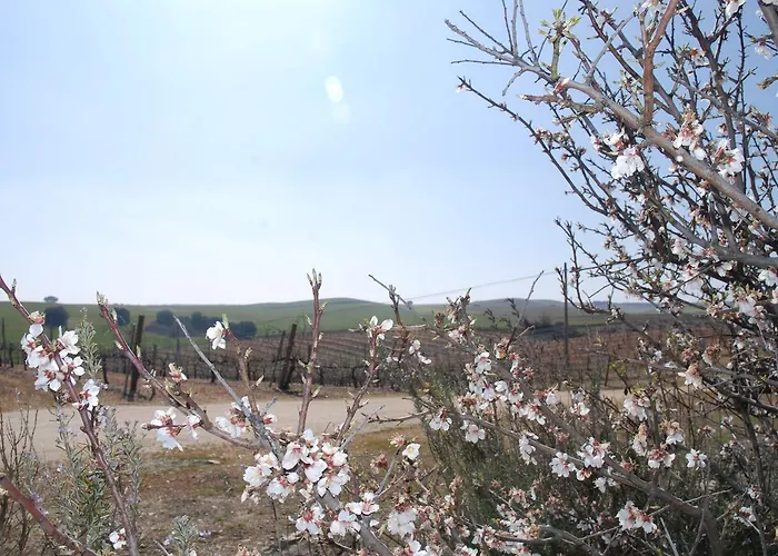 Teso De La Encina Отель