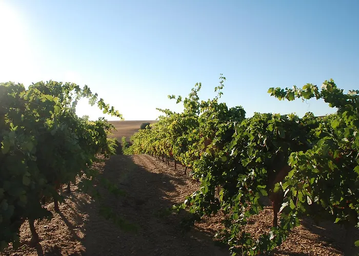 Teso De La Encina 3* Villamor de los Escuderos